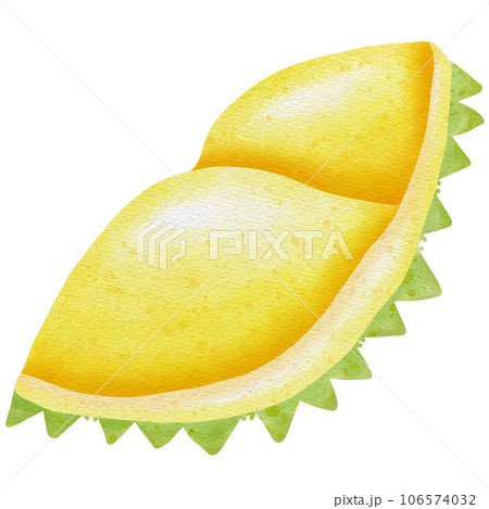 Durian  106574032