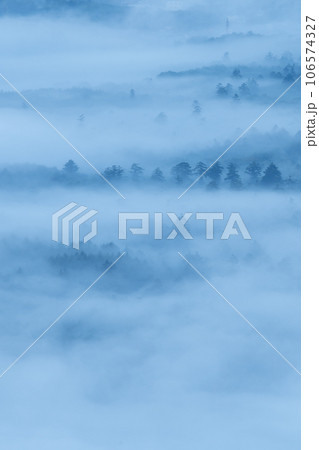 霧の中の森 霧の中の森 106574327