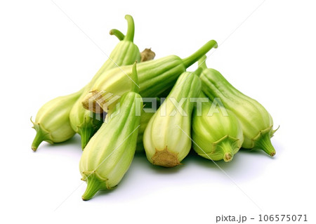 Okra photo realistic illustration - Generative AI. 106575071