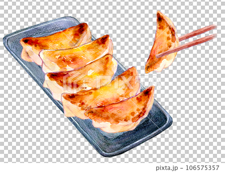 Watercolor illustration Hot grilled gyoza Watercolor illustration Hot grilled gyoza 106575357