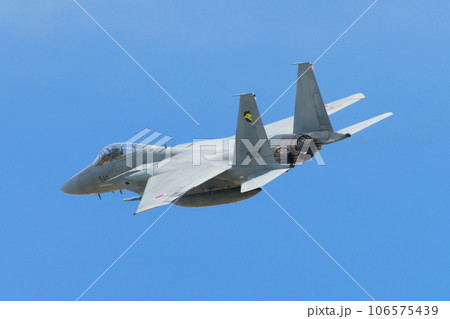 航空自衛隊第306飛行隊F-15Jイーグル旋回 106575439