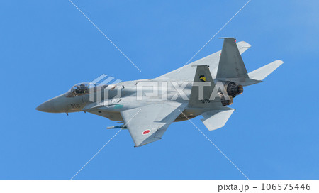 航空自衛隊第306飛行隊F-15Jイーグル旋回 106575446