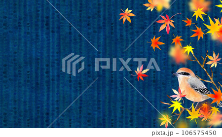和風な紅葉の背景素材　バックイメージ 106575450
