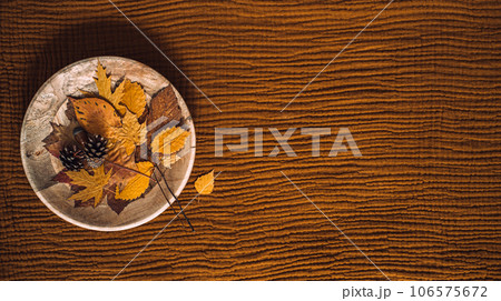 Autumn fall brown earthy tones background with dry maple leaves in plate and Muslin cotton double gauze brown fabric background. 106575672