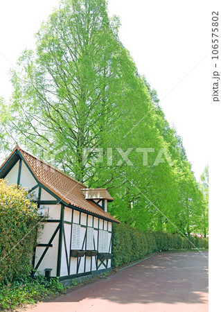 九州自然動物公園の新緑 106575802