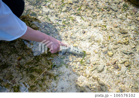 Image photo 106576102