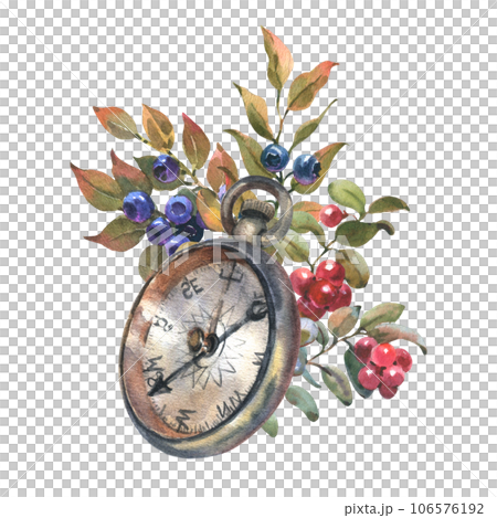 Hand drawn watercolor illustration vintage compass with forest berries on white isolated background. Drawing of travel element Hand drawn watercolor illustration vintage compass with forest berries on white isolated background. Drawing of travel element 106576192