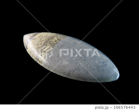 デンドリティック・ジャスパー 風景を宿す石 106576443