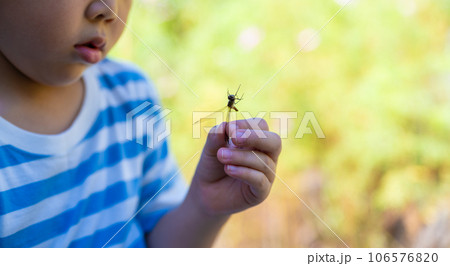 虫に捕まえた子供 虫に捕まえた子供 106576820