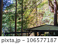 中津川・秋の付知峡 106577187