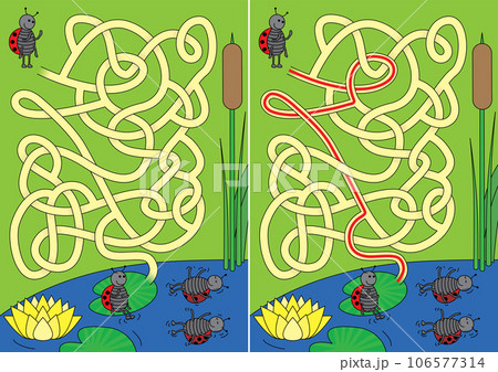 Ladybug maze 106577314