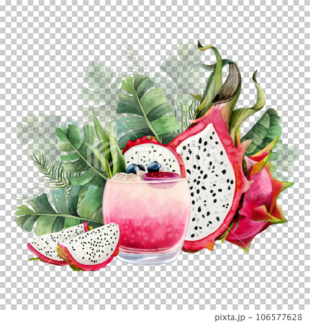 Dragon fruits, summer pink cocktail lemonade with pitaya slices and green palm leaves watercolor illustration isolated on white background. Fresh tropical exotic drink clipart 106577628
