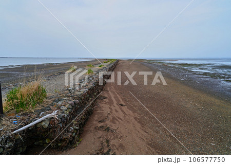 野付半島トドワラ遊歩道 海岸 野付半島トドワラ遊歩道 海岸 106577750