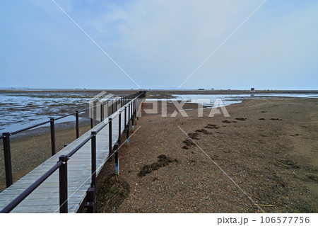 野付半島トドワラ遊歩道 木道 野付半島トドワラ遊歩道 木道 106577756