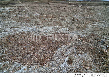 野付半島トドワラ遊歩道 砂嘴 野付半島トドワラ遊歩道 砂嘴 106577760
