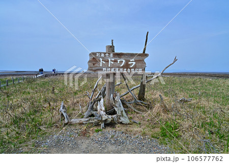 野付半島トドワラ広場の看板 野付半島トドワラ広場の看板 106577762