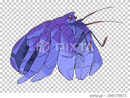 シンプルなヤシガニのイラストのイラスト素材 [106579671] - PIXTA