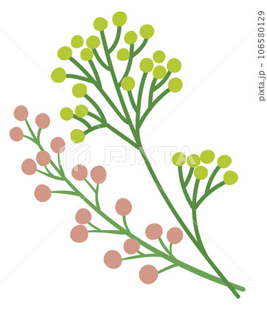 Blooming branch. Decorative botany. Floral green element 106580129