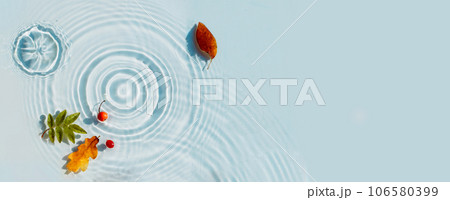 Water background with ripples and drops and colored fallen leaves. copy space 106580399