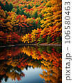 湖面に映る紅葉の秋 106580463