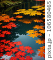湖面に浮かぶ紅葉 106580465