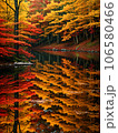 湖面に映る紅葉の秋 106580466