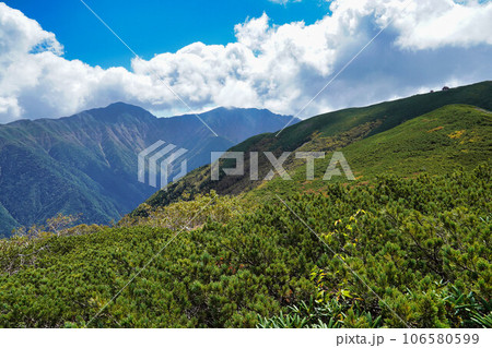 三伏峠から荒川岳　縦走 106580599