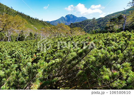 三伏峠から荒川岳 縦走 三伏峠から荒川岳 縦走 106580610