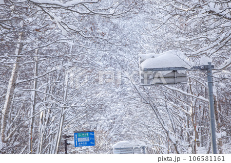 冬の八甲田の道路風景（青森県青森市） 106581161