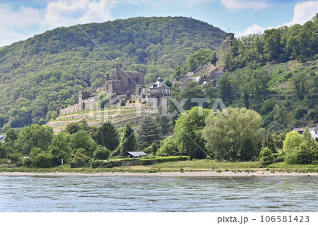 ライン川クルーズ　ライヘンシュタイン城／ドイツ 106581423