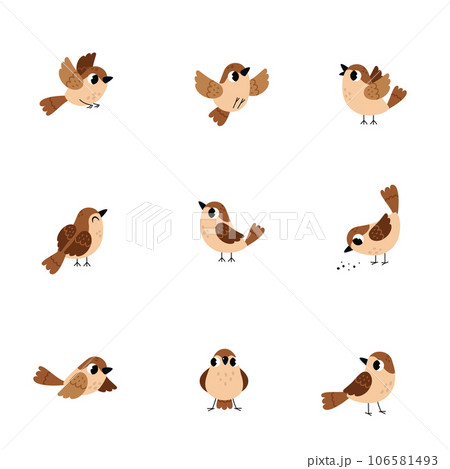 Little Brown Sparrow Bird with Feathers and Beak Vector Set 106581493