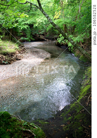 大分県由布市 黒岳原生林 森の中の散策コース 大分県由布市 黒岳原生林 森の中の散策コース 106582528
