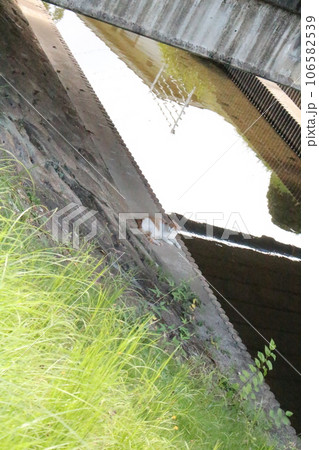 橋の下でくつろぐネコさんを撮影しました。 橋の下でくつろぐネコさんを撮影しました。 106582539