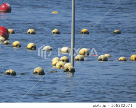 稲毛海岸で見る海水浴場表示ブイ 106582671