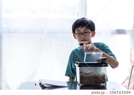 昆虫観察する小学生の男の子 昆虫観察する小学生の男の子 106583099