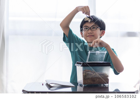 昆虫観察する小学生の男の子 昆虫観察する小学生の男の子 106583102