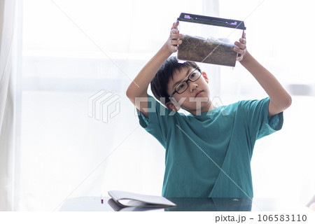 昆虫観察する小学生の男の子 106583110