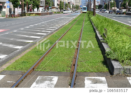 豊橋鉄道・路面電車の緑化実験エリア 豊橋鉄道・路面電車の緑化実験エリア 106583517