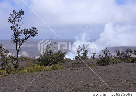 Kilauea Crater in Hawaii Volcanoes National Park 106585068