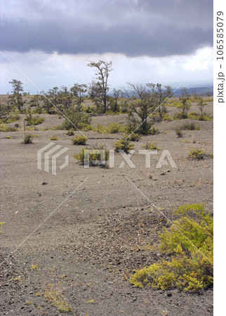 Kilauea Crater in Hawaii Volcanoes National Park Kilauea Crater in Hawaii Volcanoes National Park 106585079
