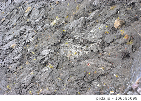 Solidified lava rock - Volcanoes National Park, Big Island, Hawaii Solidified lava rock - Volcanoes National Park, Big Island, Hawaii 106585099