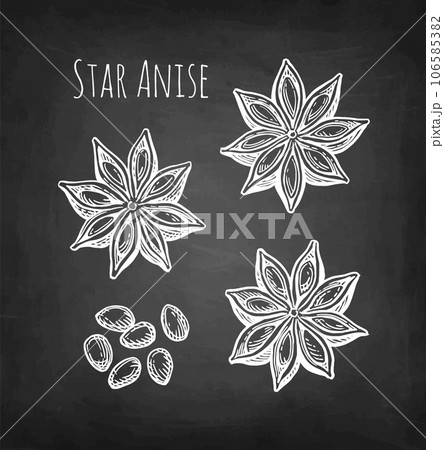 Star Anise chalk sketch. Star Anise chalk sketch. 106585382