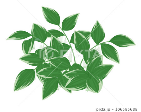 ナルコユリのイラスト_花あり 106585688