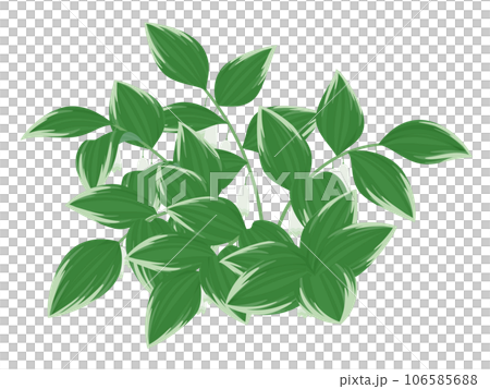 Narco lily illustration_with flowers Narco lily illustration_with flowers 106585688