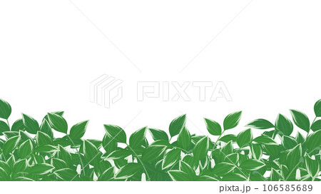 ナルコユリのフレーム_16:9 ナルコユリのフレーム_16:9 106585689