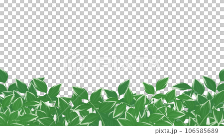 ナルコユリのフレーム_16:9 ナルコユリのフレーム_16:9 106585689