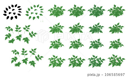 ナルコユリのイラスト素材セット ナルコユリのイラスト素材セット 106585697