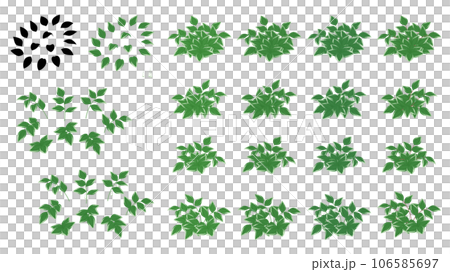 ナルコユリのイラスト素材セット ナルコユリのイラスト素材セット 106585697