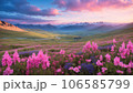 Covered in pink and blue small wildflowers beautiful Mountain valley 106585799