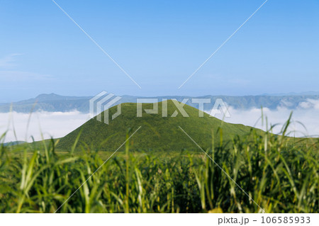 阿蘇、朝の米塚と雲海（阿蘇くじゅう国立公園） 106585933